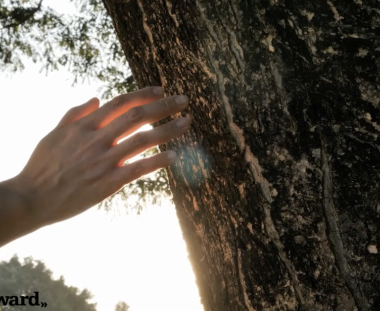 Screenshot Hand am Baum